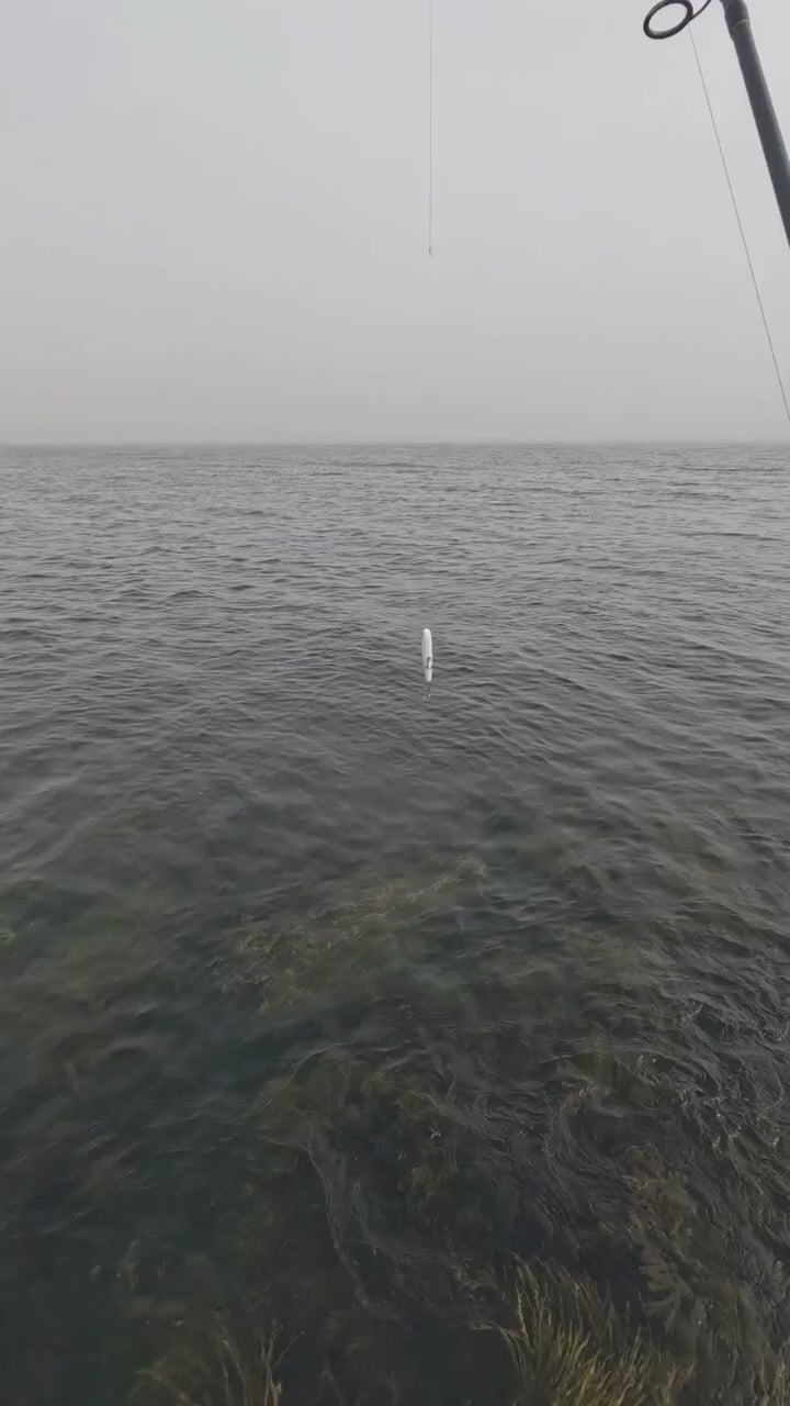 Striped Bass Special Surf Blanks