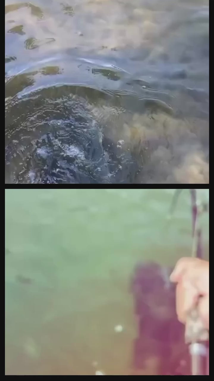 Cape Cod Special Jigging Blanks