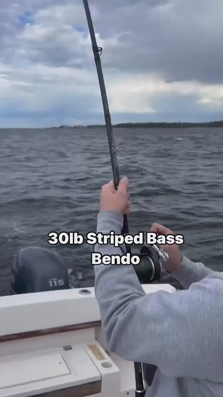 FISHMANIC Rods