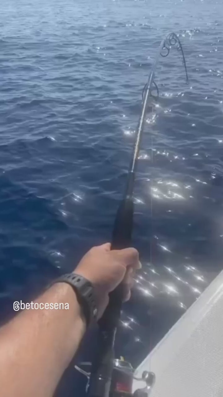 Cape Cod Special Nano Popping Rods