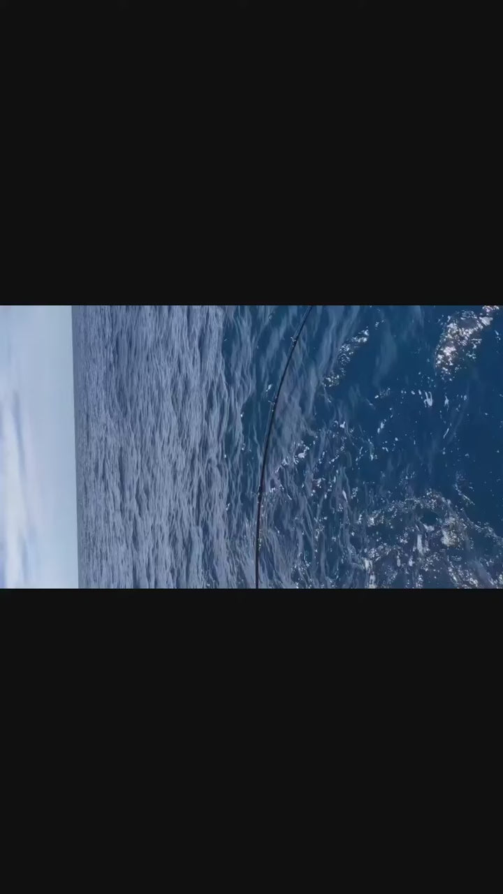 Charter Special Blanks