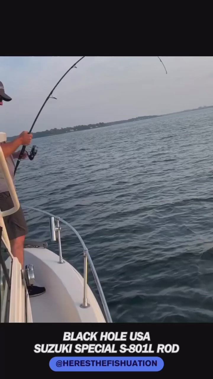 Suzuki Special Inshore Rods