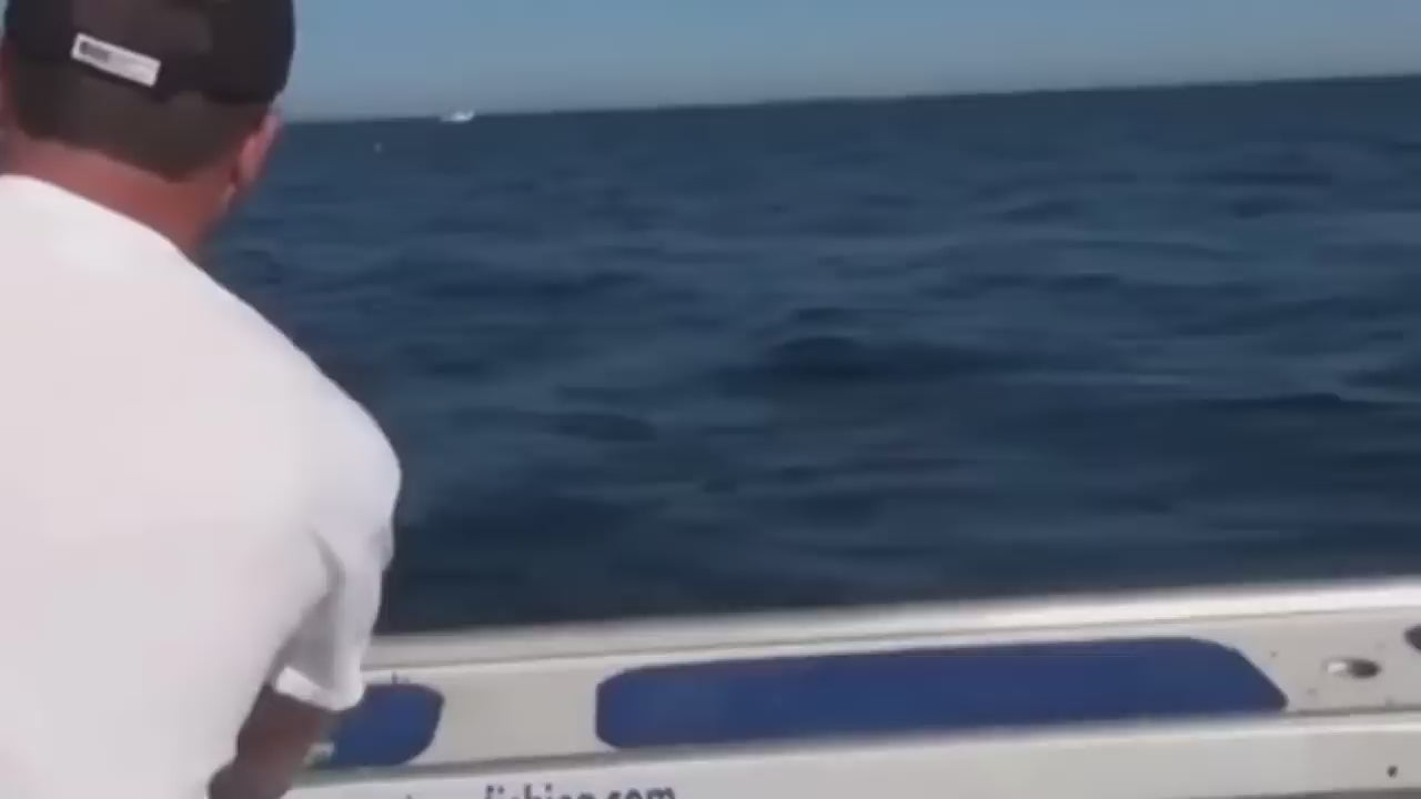 Cape Cod Special Jigging Rods
