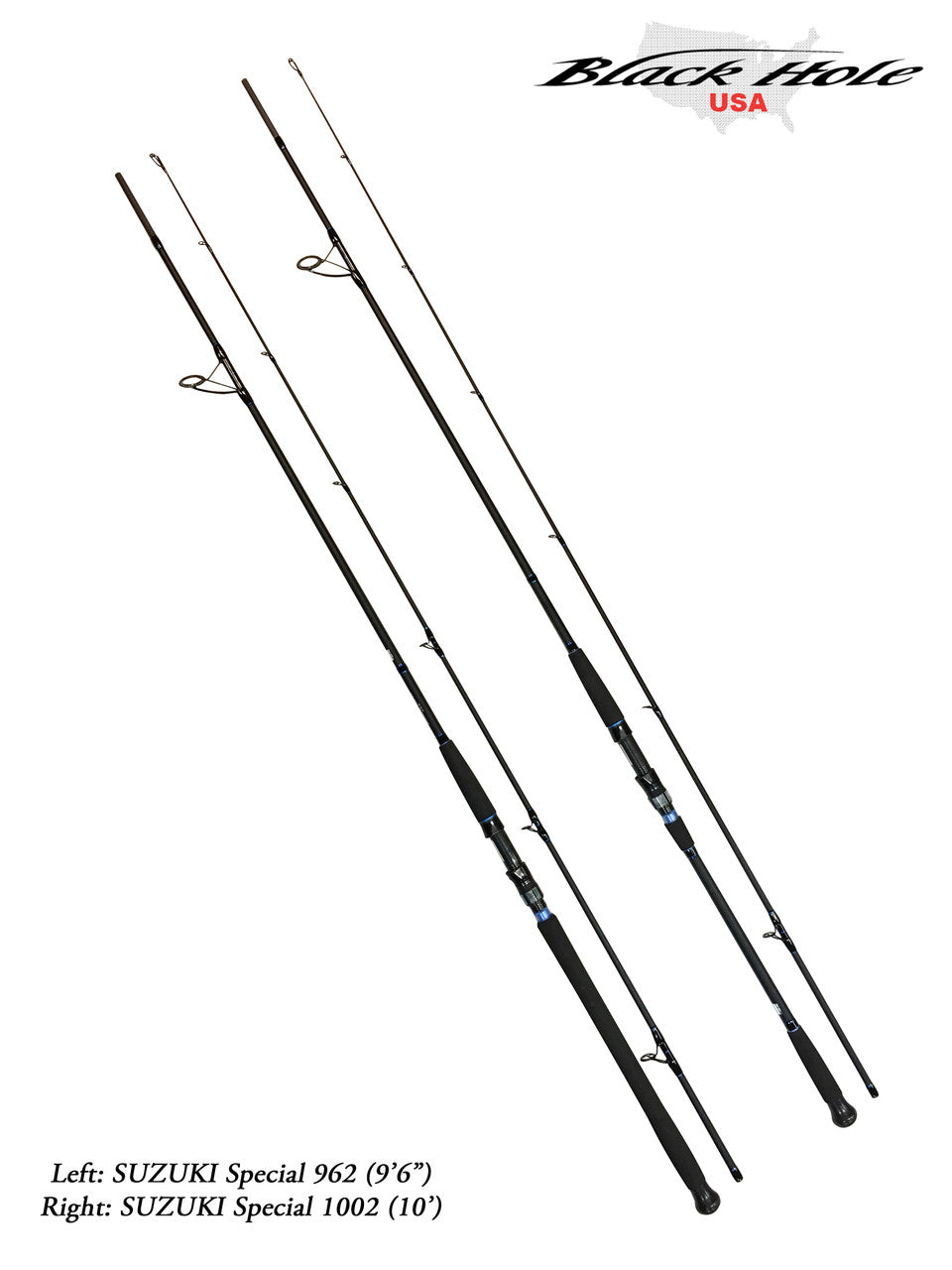 Suzuki Special Surf Rods